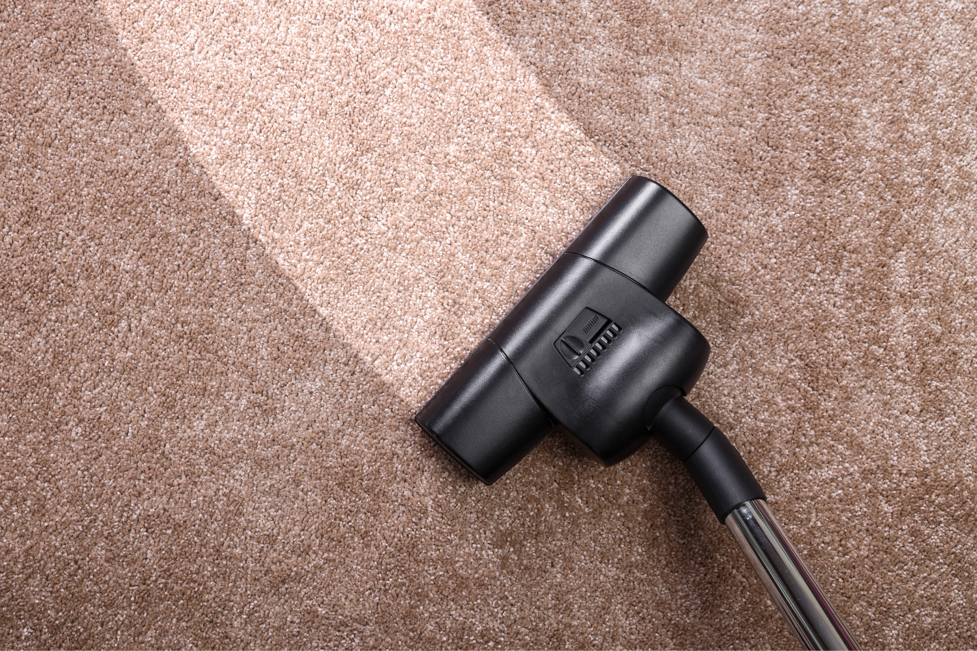 Black vacuum cleaner nozzle on a carpeted floor