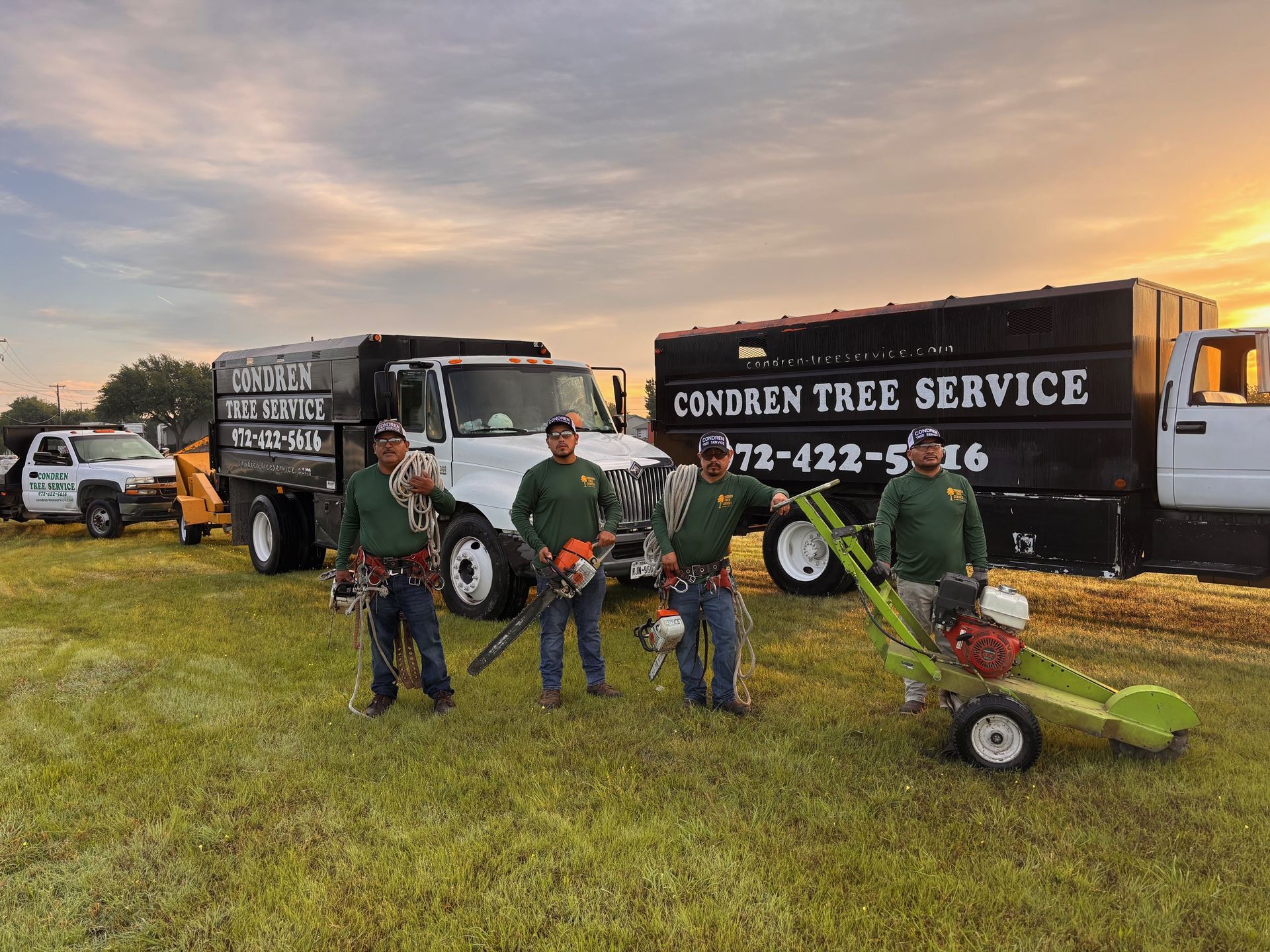 A man is cutting a tree with a crane in a forest.