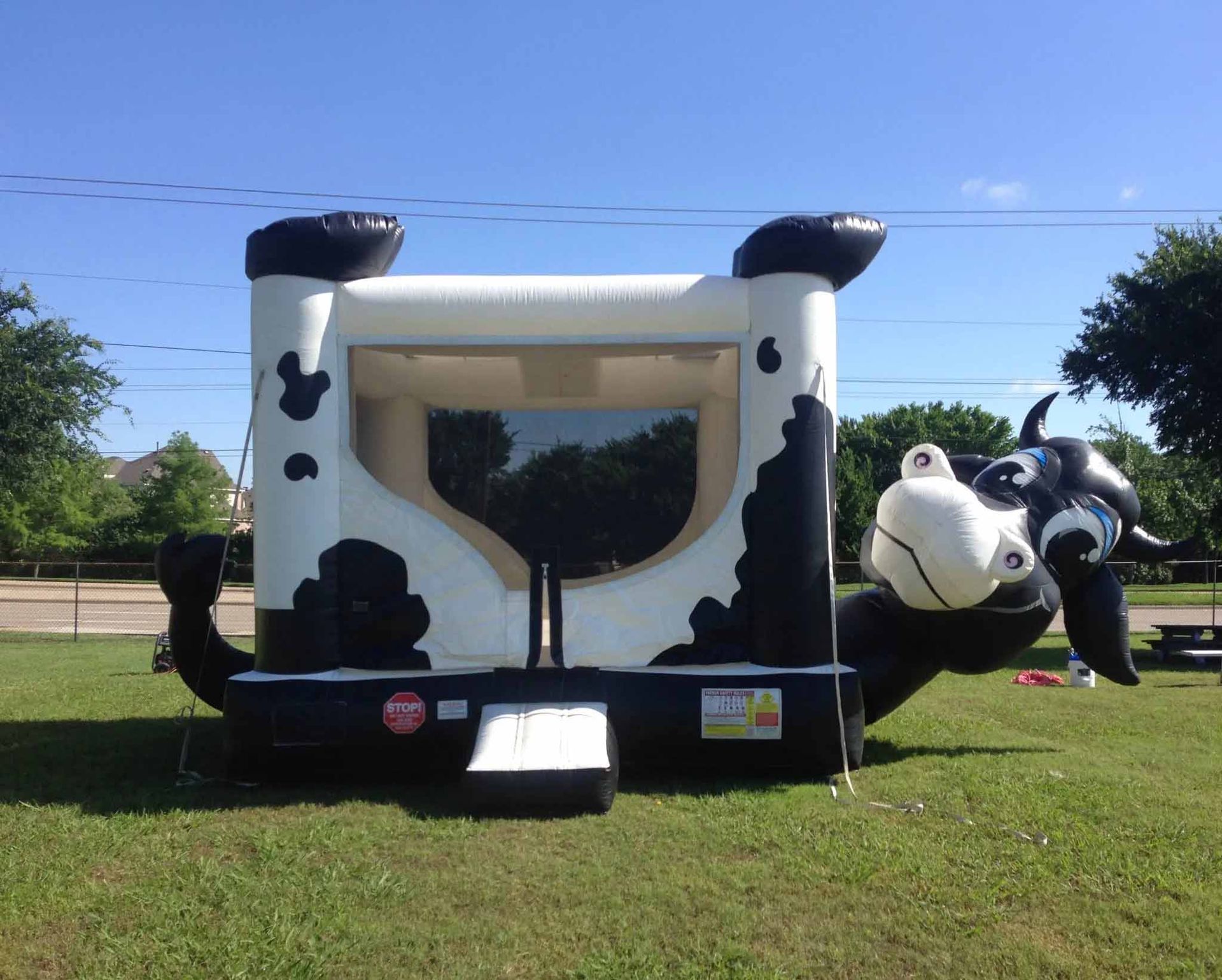 Inflatable cow-themed bounce house set up on grass, ideal for kids’ parties and outdoor events.