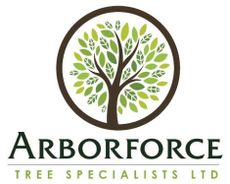 Arborforce Tree Specialists Ltd logo