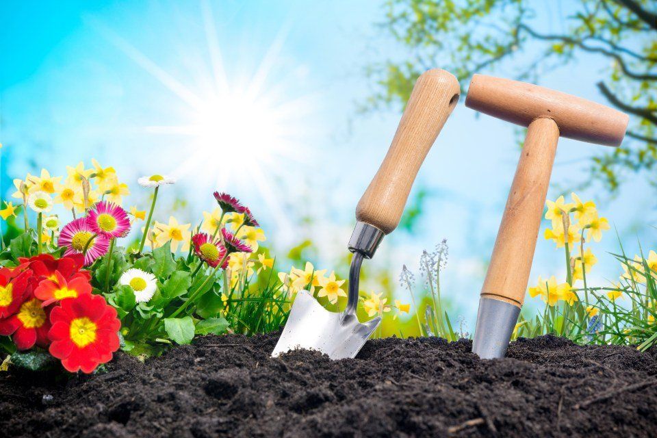 attrezzature e articoli per il giardinaggio