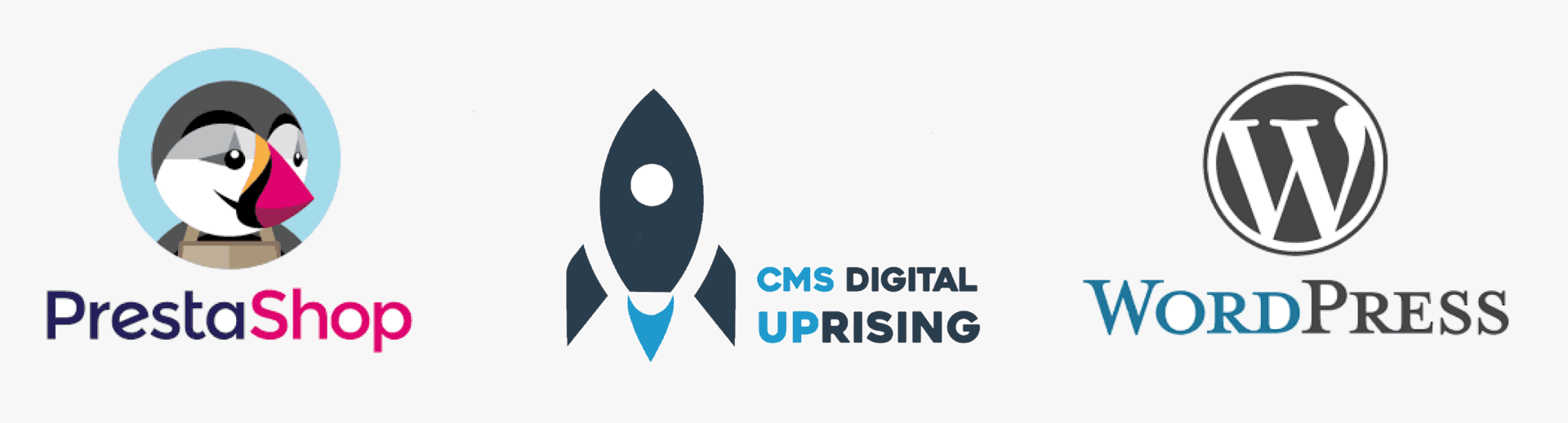 Digital UPrising CMS de création de site web