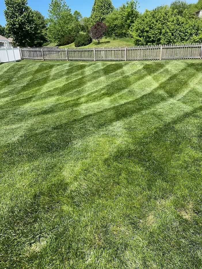 Green lawn mowed in diagonal stripes, with a wooden fence and trees in the background under a bright, sunny sky.