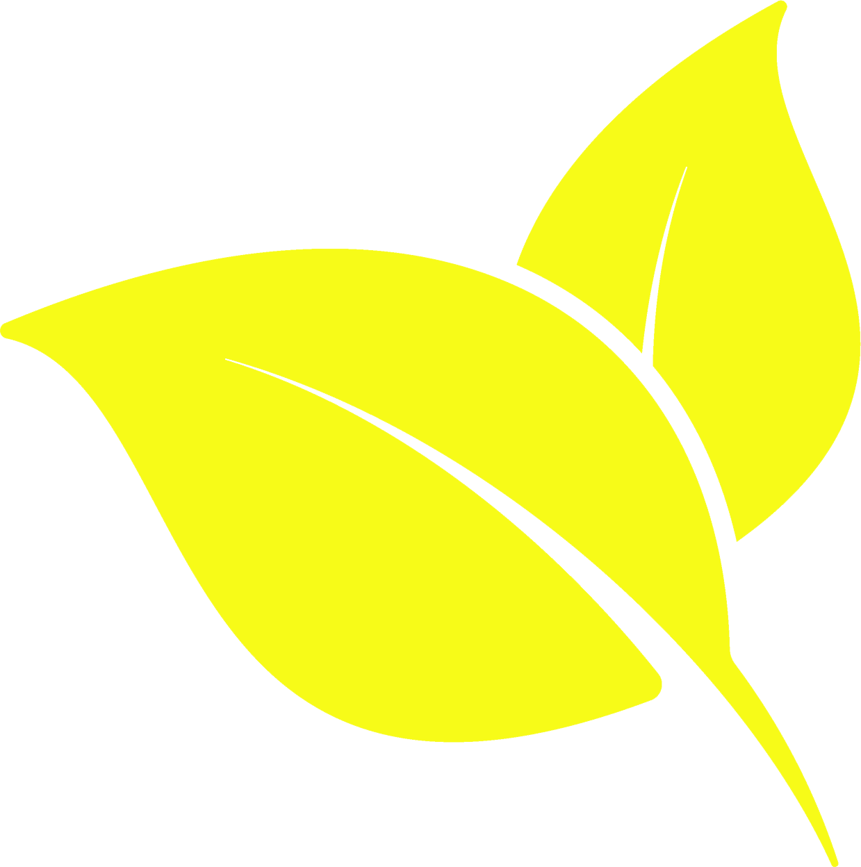 Two yellow leaves