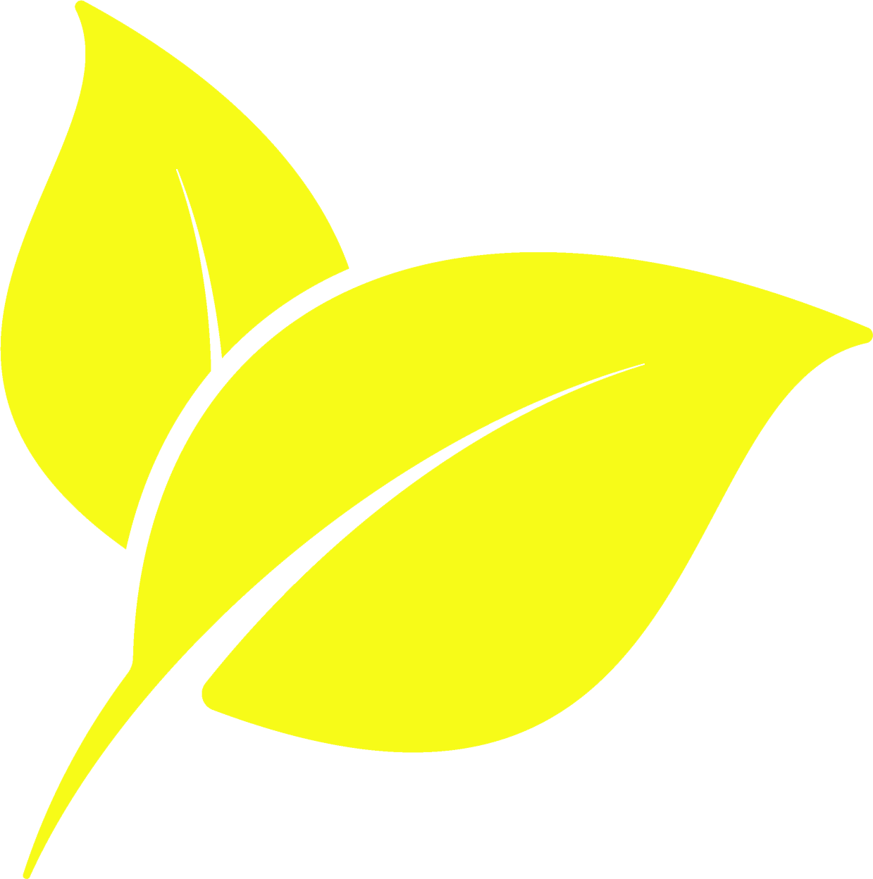 Two yellow leaves