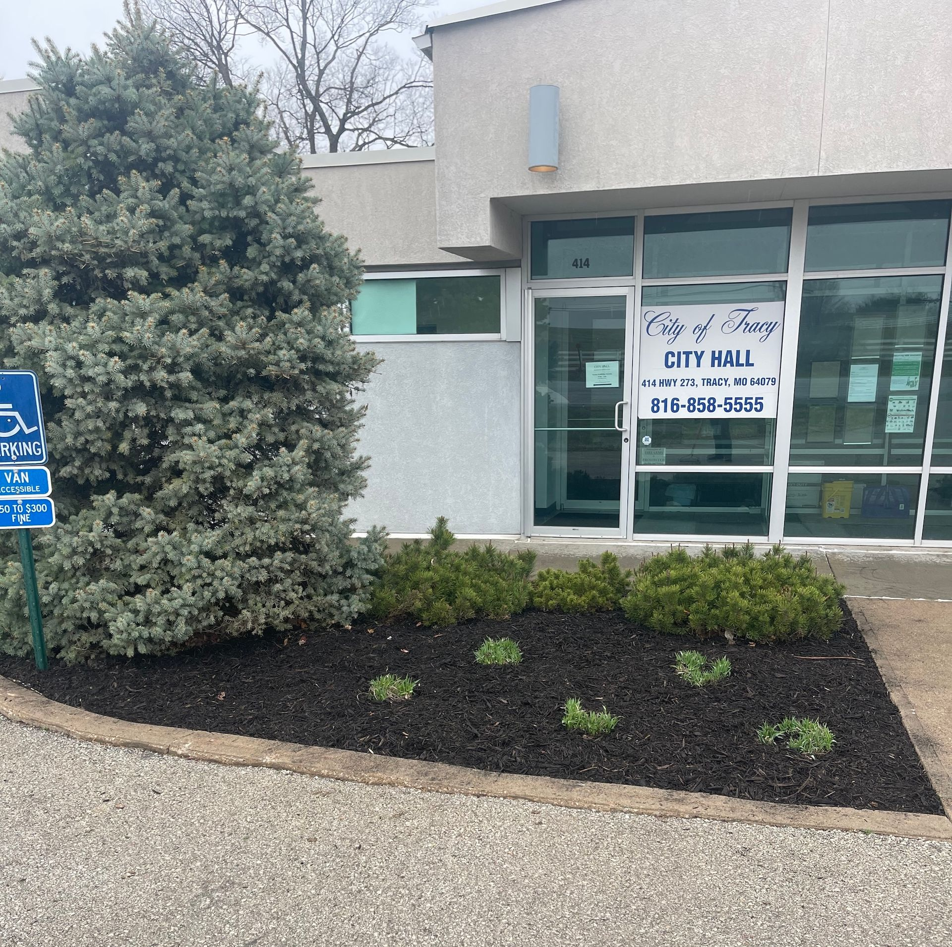 Commercial Landscape Maintenance