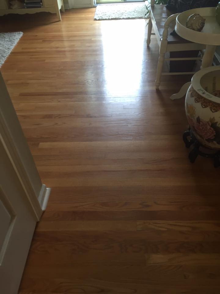 Carpet Cleaning Elsmere, DE Delaware Rug Company