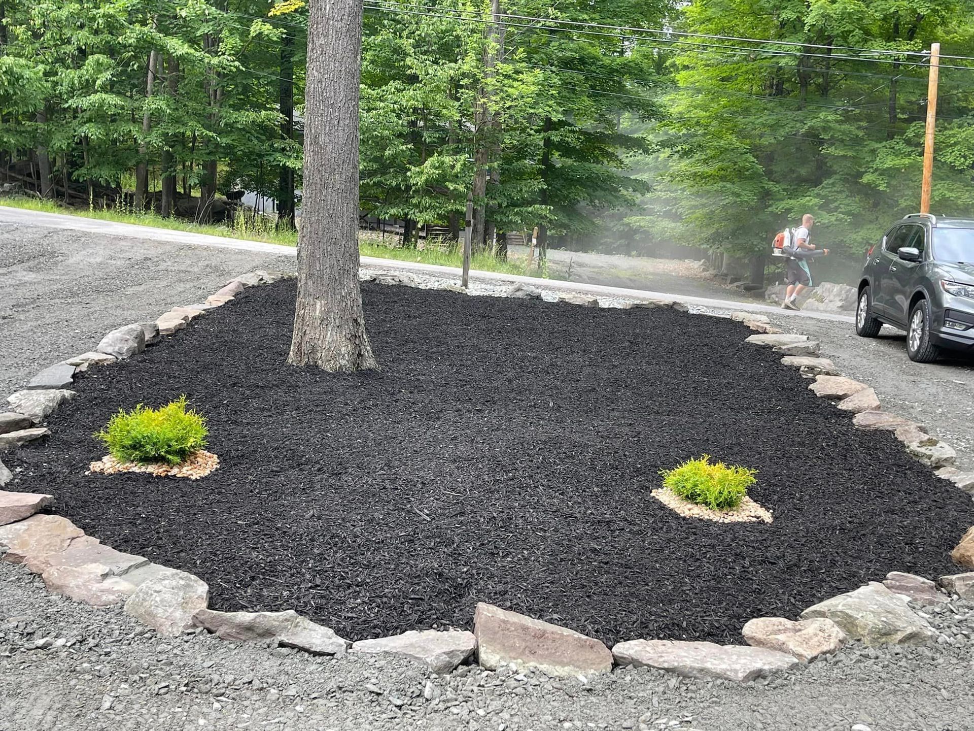 Tree And Plant Mulching — Lake Ariel, PA — All-Out Logging
