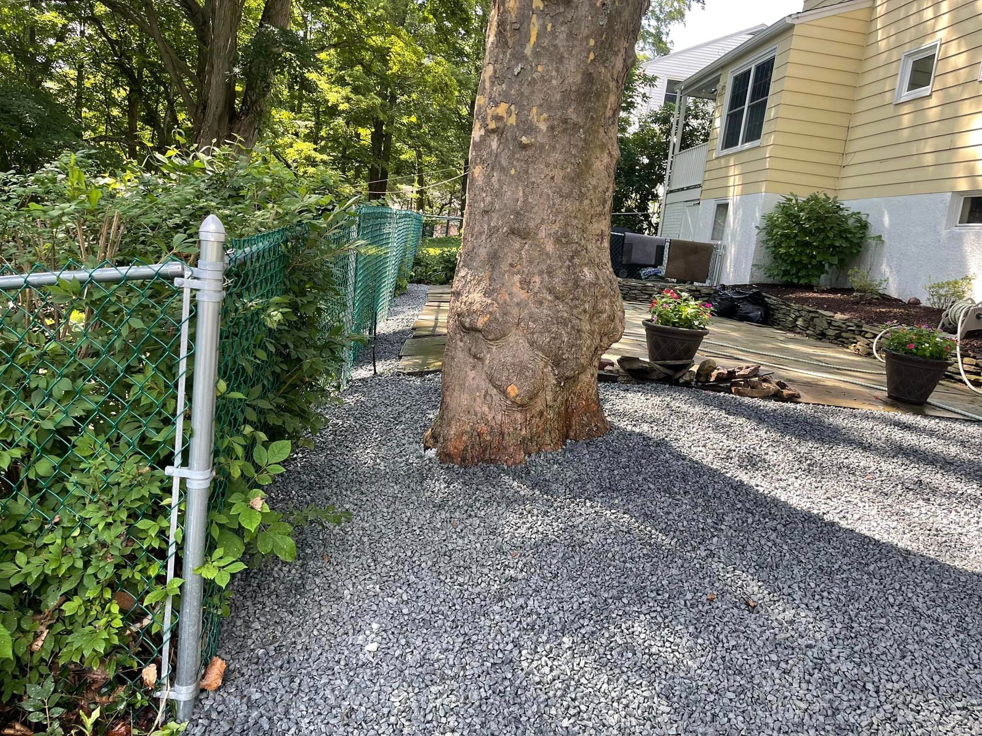 Big Tree Trunk — Lake Ariel, PA — All-Out Logging