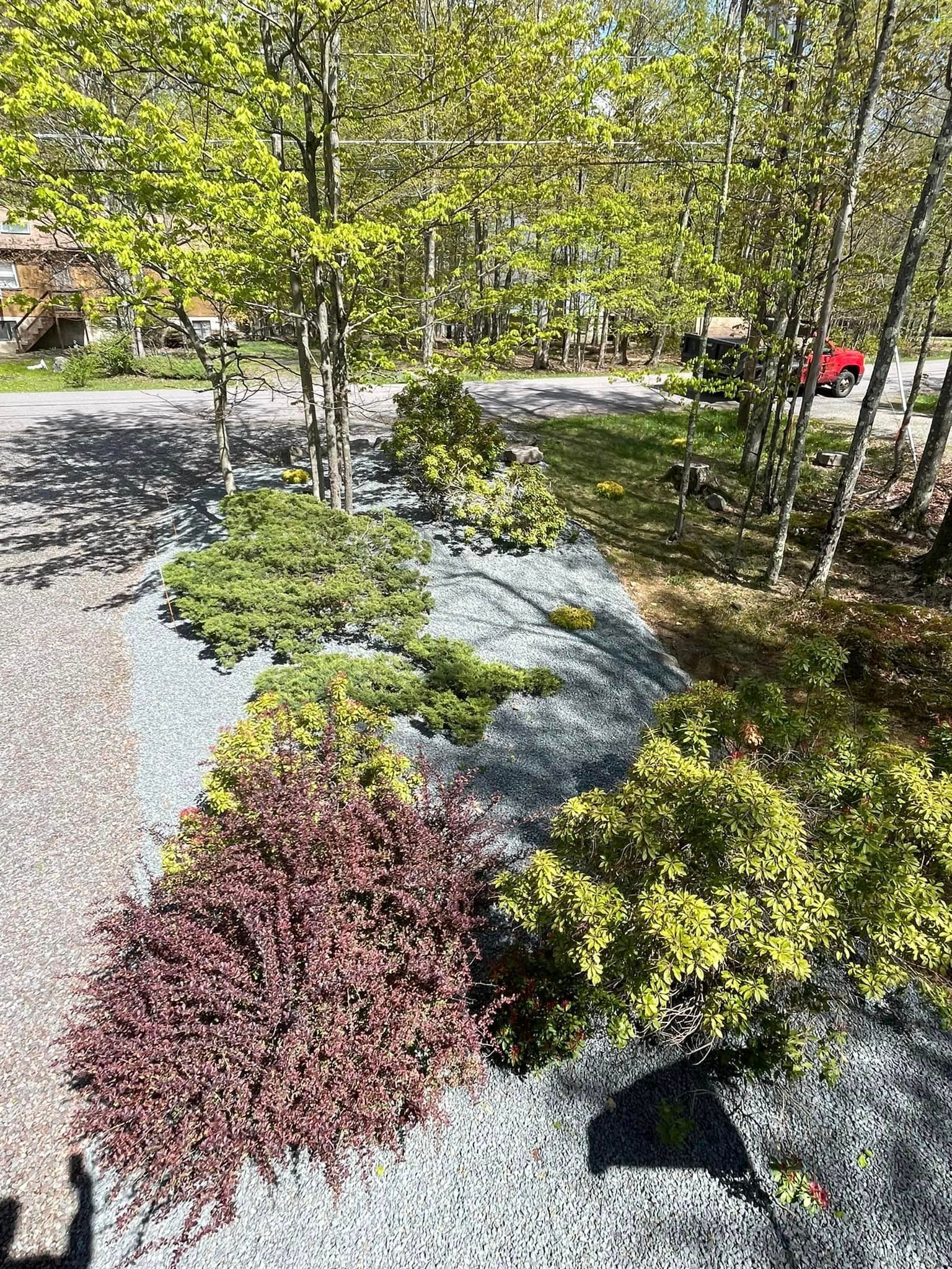 Plants And Tress — Lake Ariel, PA — All-Out Logging