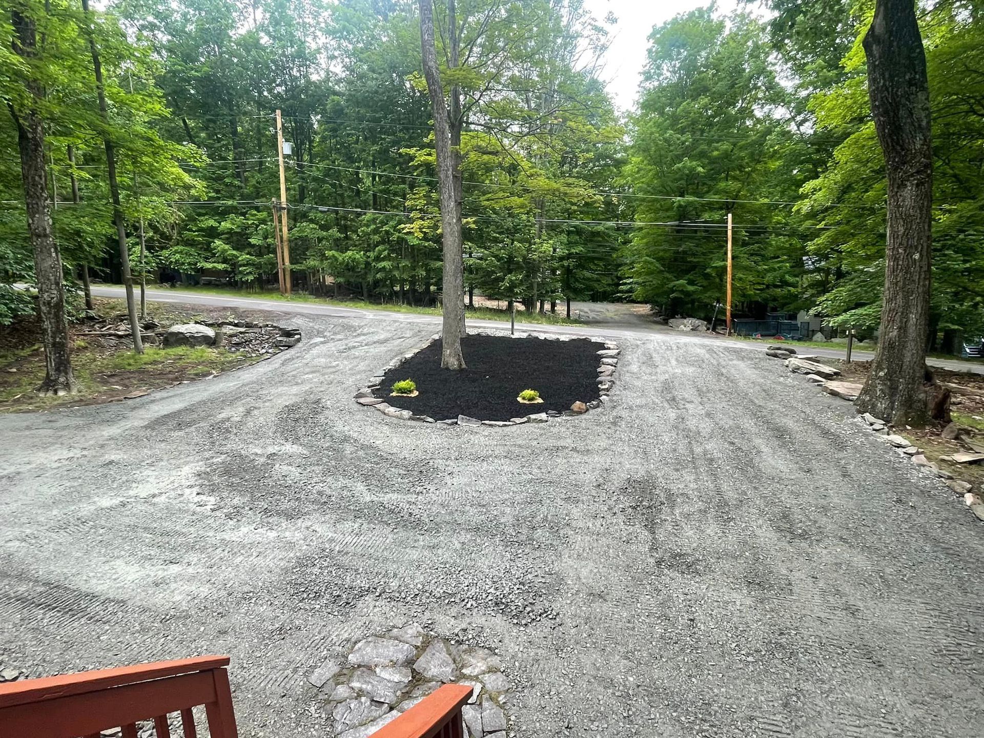 Wide Yard With Tree Mulching — Lake Ariel, PA — All-Out Logging
