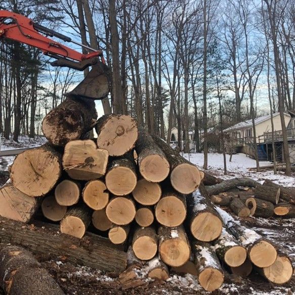 Tree Logs — Lake Ariel, PA — All-Out Logging