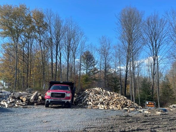 Tree Near The Firewood — Lake Ariel, PA — All-Out Logging