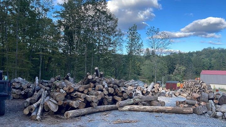 Dry Wood Logs — Lake Ariel, PA — All-Out Logging