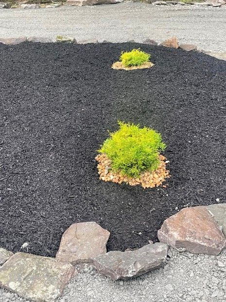 Green Plants — Lake Ariel, PA — All-Out Logging