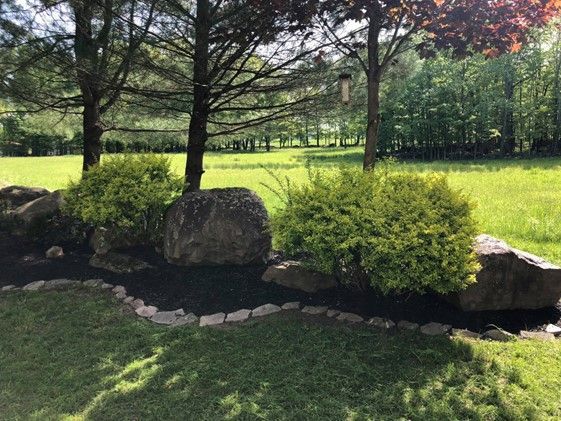 Beautiful Garden With Plants And Trees — Lake Ariel, PA — All-Out Logging