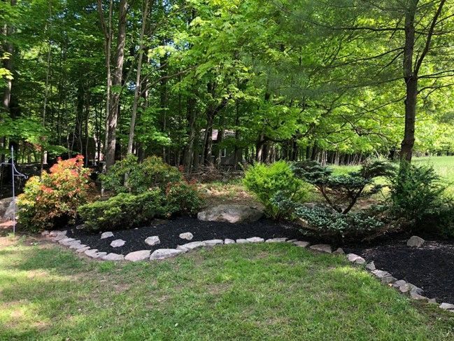 Garden Landscaping With Tall Trees — Lake Ariel, PA — All-Out Logging