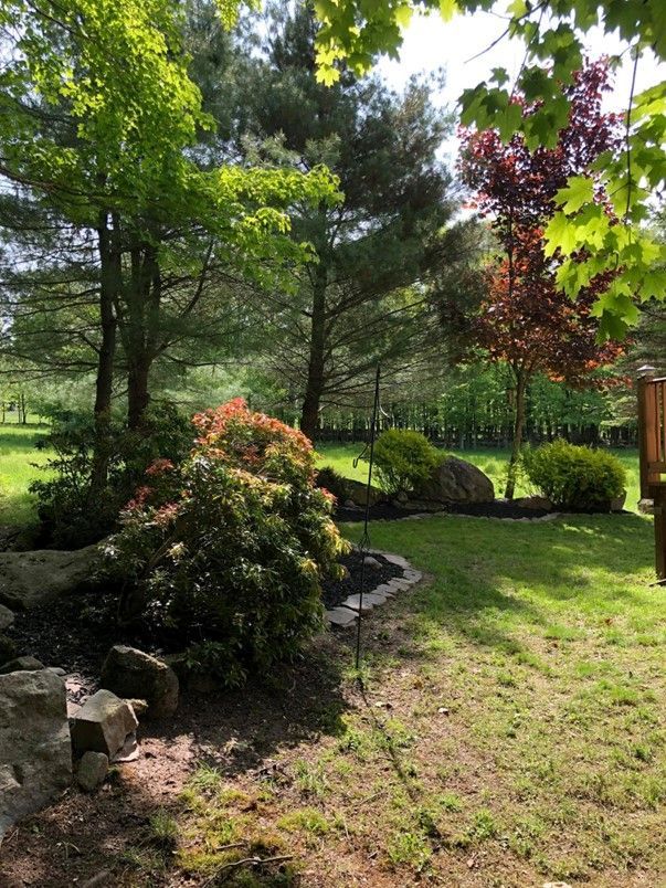 Backyard Garden With Tall Trees — Lake Ariel, PA — All-Out Logging