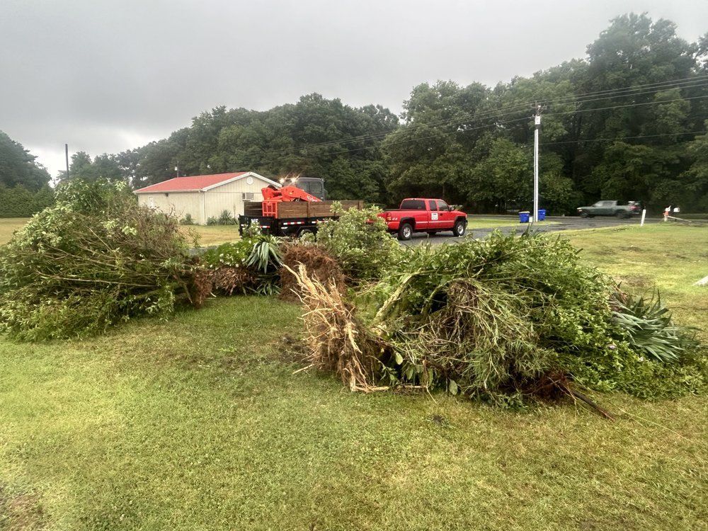 Green grass, piles of brush, red trucks; workers clearing debris in yard near building.