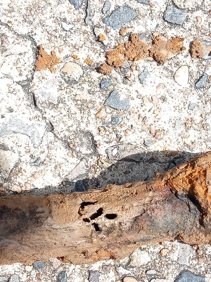 A piece of wood is laying on the ground next to a rock.
