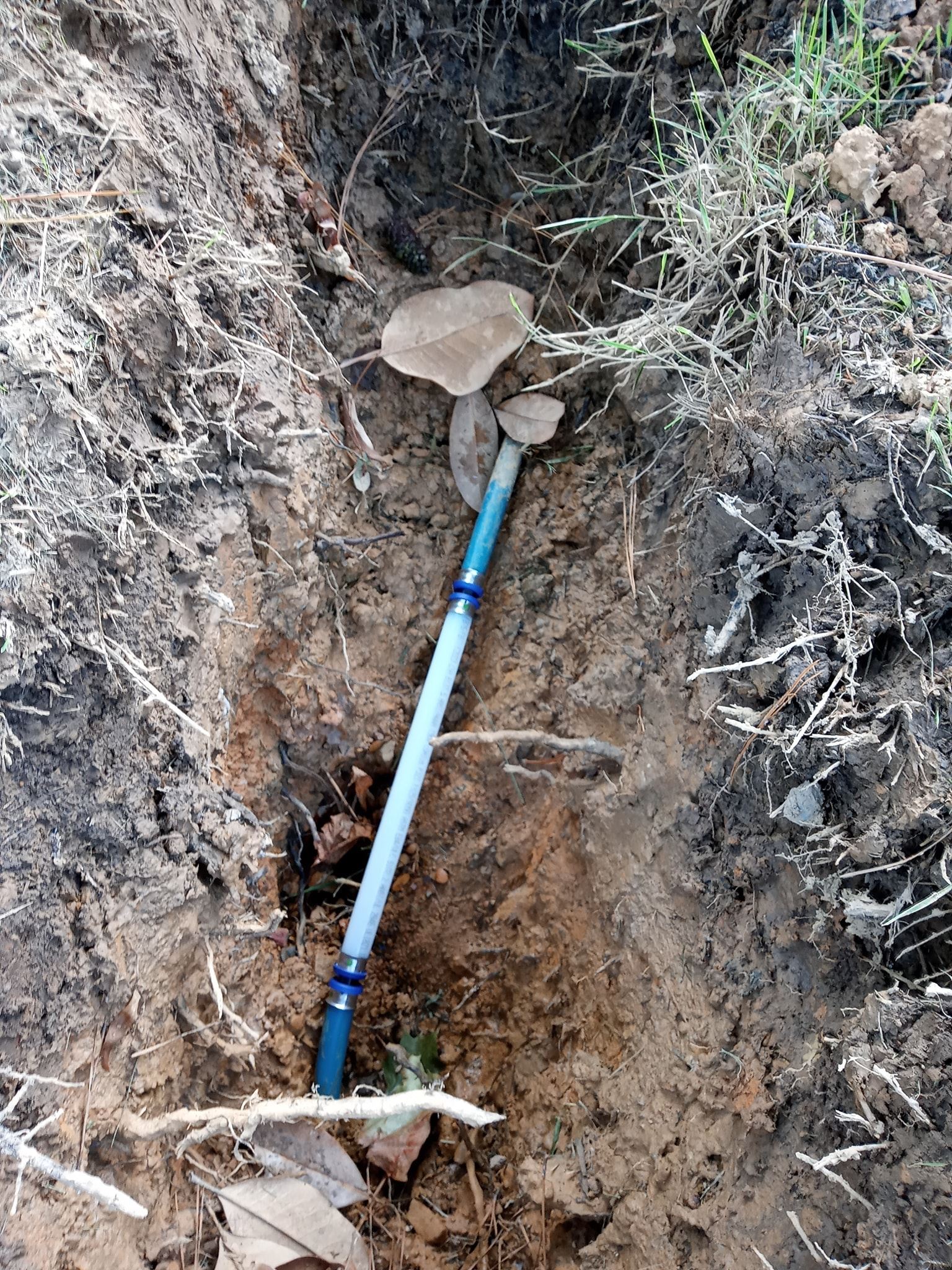 A blue pipe is laying in the dirt next to a mushroom.