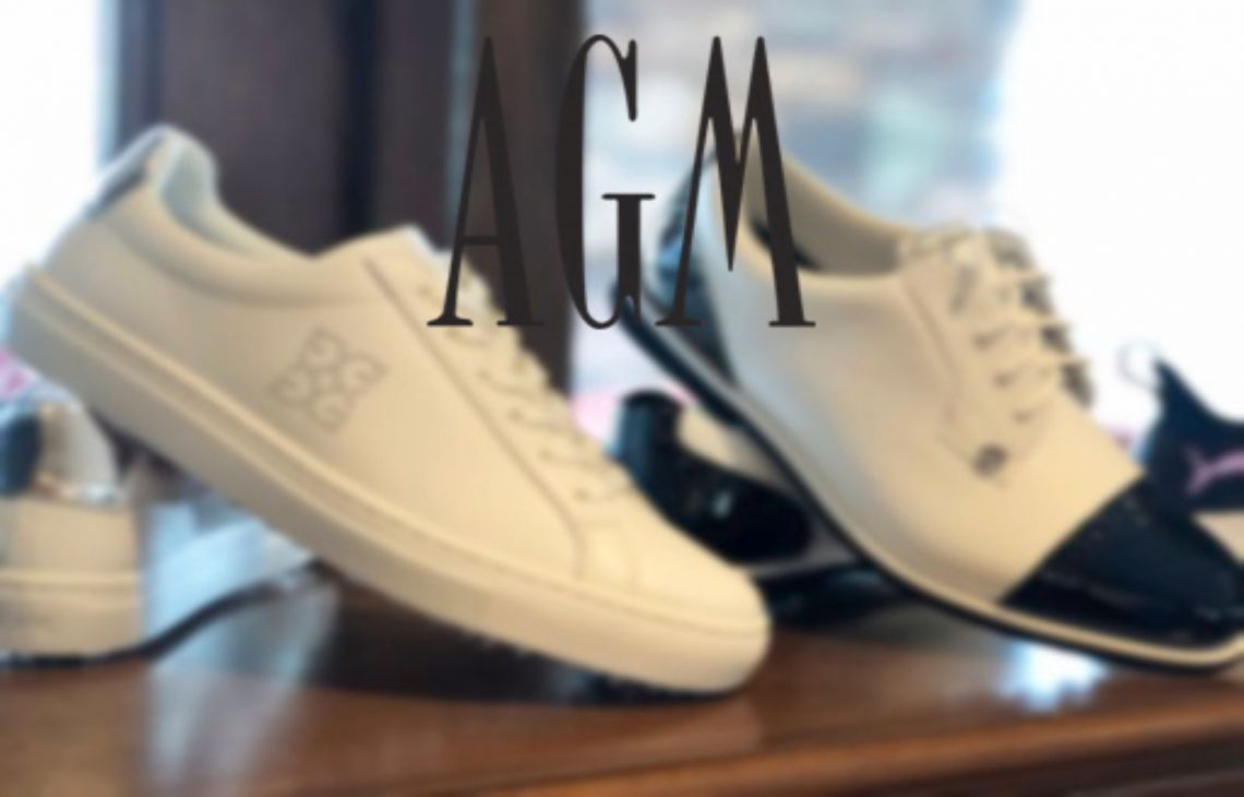 2019 Association of Golf Merchandisers Platinum Award