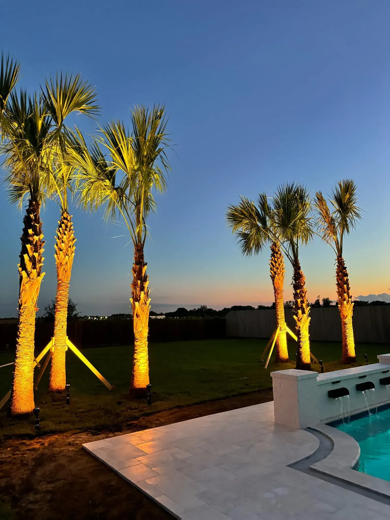 Palm trees illuminated with golden lights next to a pool at dusk.