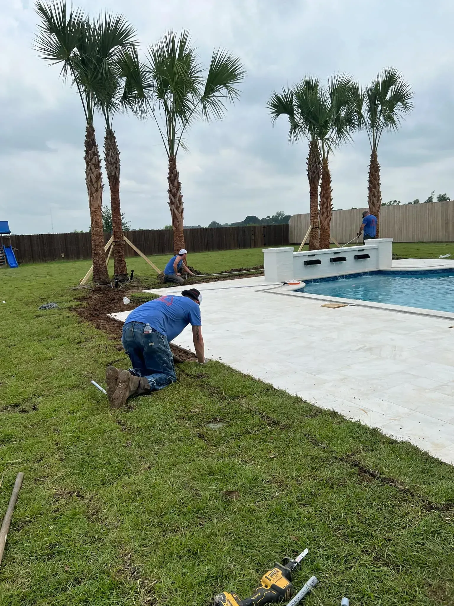 Workers landscaping near a pool, planting palm trees in a grassy area.