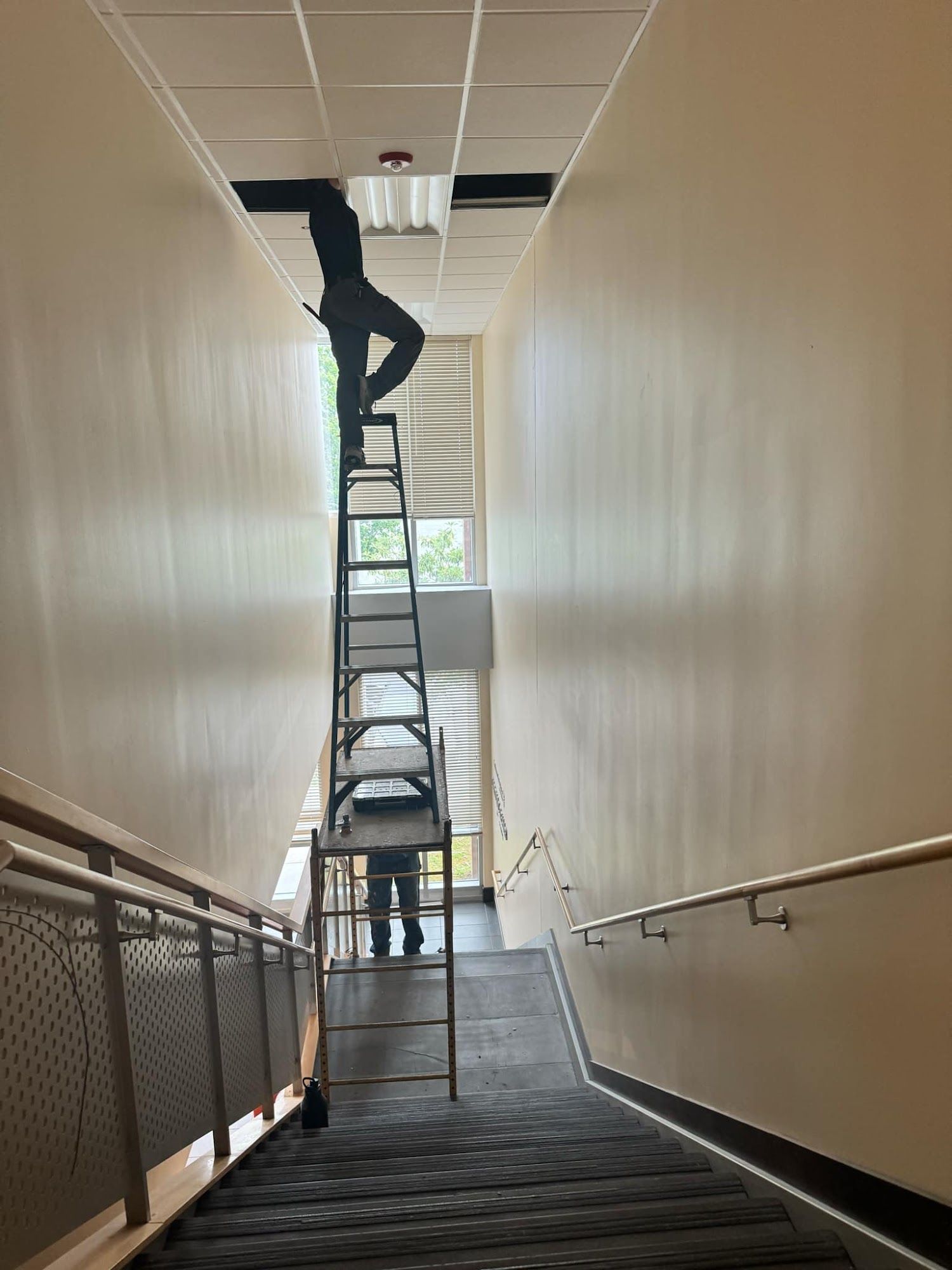 Person on tall ladder in a stairwell, working on ceiling tiles. Sunlight streams through a window.