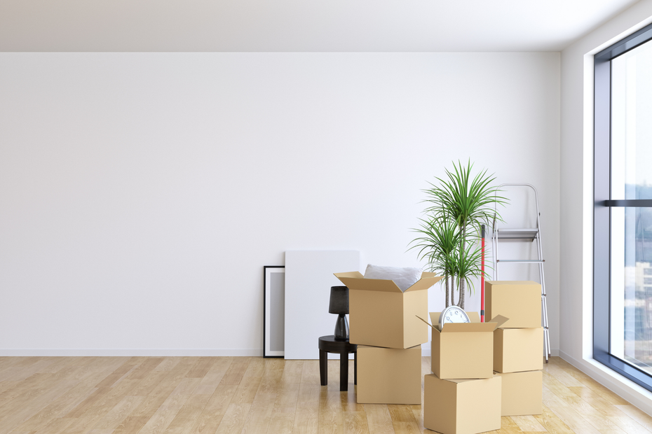 There are a lot of cardboard boxes in the room.
