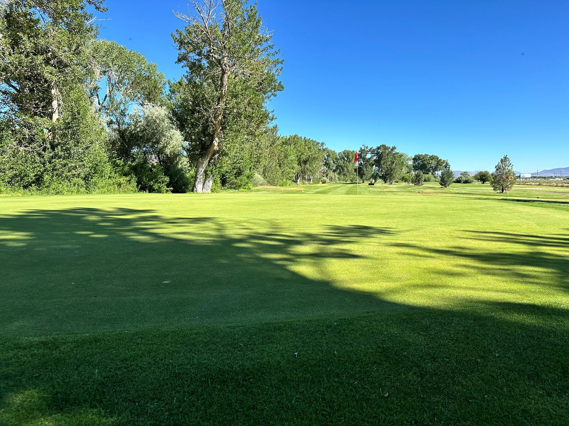 A golf course with trees and a blue sky in the background.