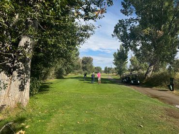 A group of people are playing golf on a golf course.