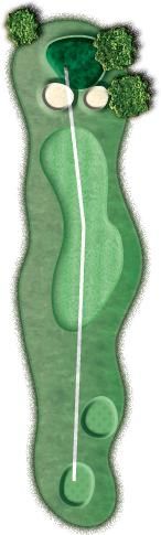 A drawing of a golf course with a ball in the hole.