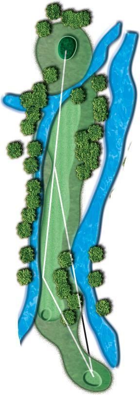 A map of a golf course with trees and a river.