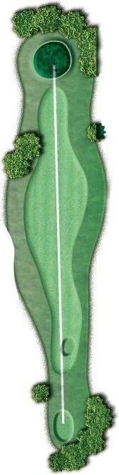 An aerial view of a golf course with a hole in the middle.