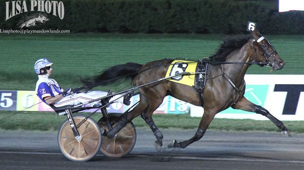 Dramatra, Ready For Moni lead Massachusetts-bred stars