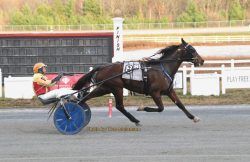 Eurobond takes $25,000 trot at Plainridge Park