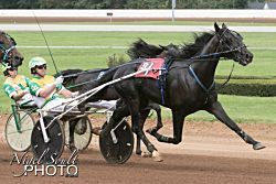 Kentucky Sire Stakes champions crowned at Red Mile