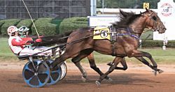 Hat Trick Habit and Lily Stride lead KYSS trotters