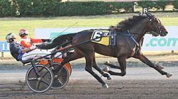 Cecere duo aim for Wellwood glory