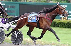 Lindy’s Big Bang and Special Miss score in Dexter Cup and Lady Suffolk