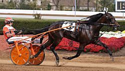Met’s Hall romps in International Stallion Stakes