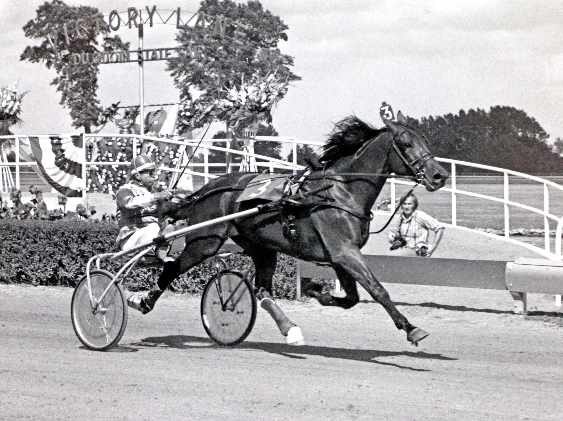 Speedy Crown