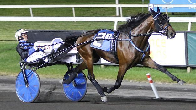 Branded By Lindy best in Crown freshman trot elims