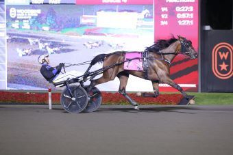 Denarius, Shimmering Hanover victorious in Champlain filly trots