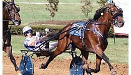 Hambo hopefuls excite Antonacci