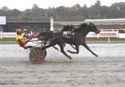 Massachusetts champions crowned at Plainridge Park