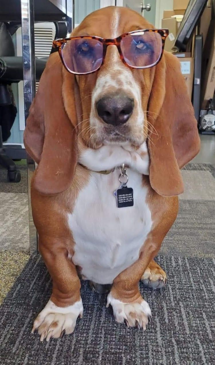 heating and air company