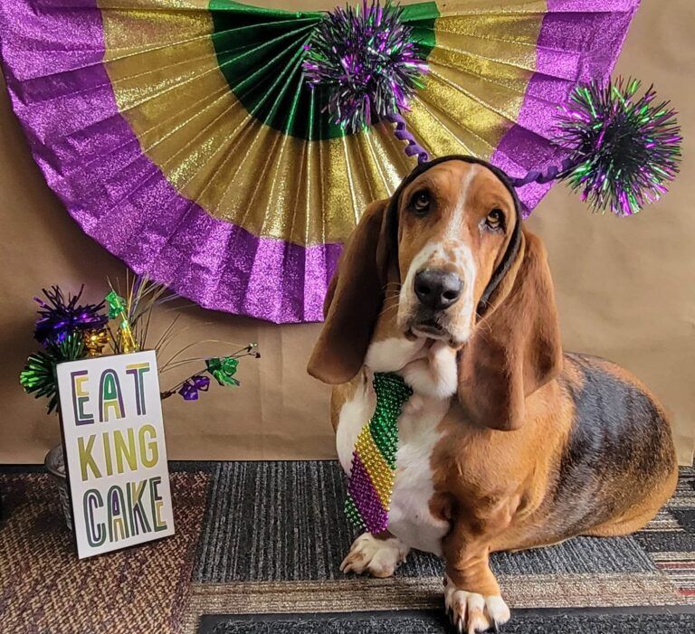 HVAC Services near me