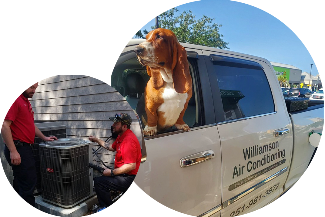 proudly serving baldwin county